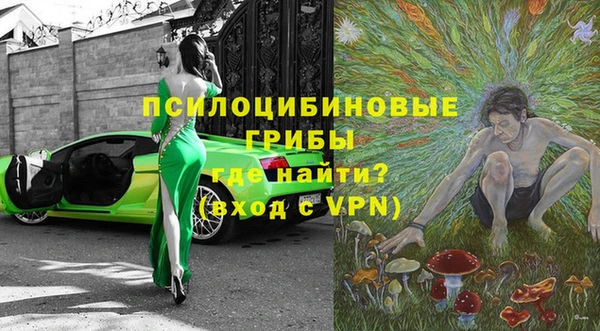 герыч Алексин