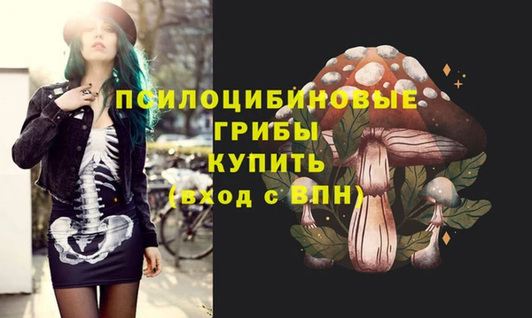 герыч Алексин