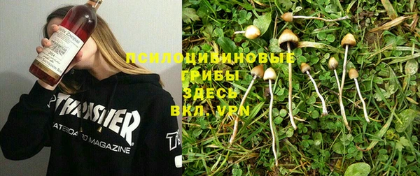 тгк Абдулино