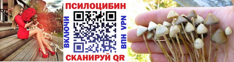 где продают наркотики  Златоуст  blacksprut ТОР  Псилоцибиновые грибы мицелий 