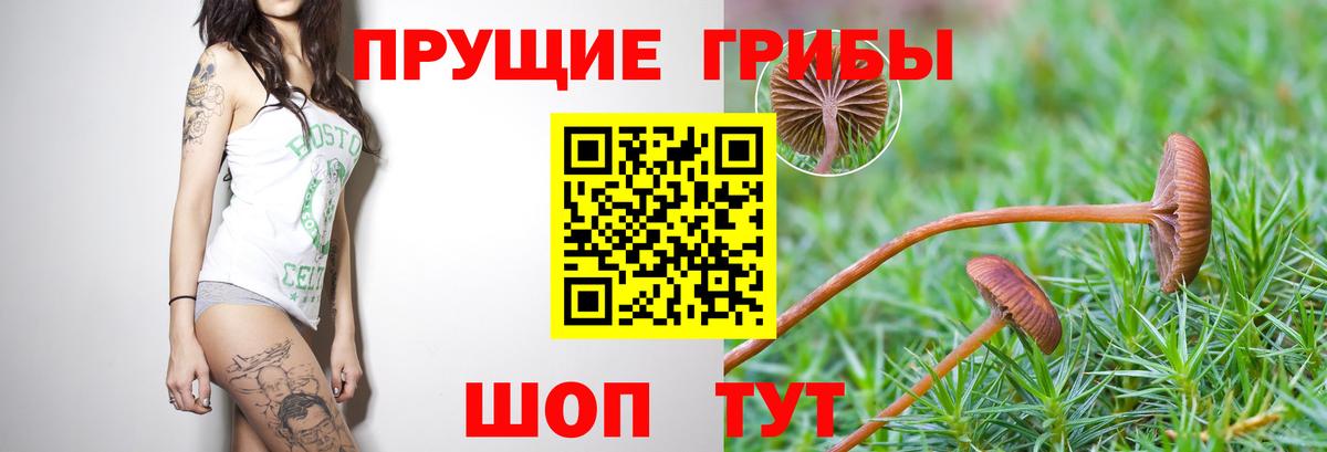 Златоуст  Псилоцибиновые грибы мухоморы  Галлюциногенные грибы прущие грибы  Вход с VPN 